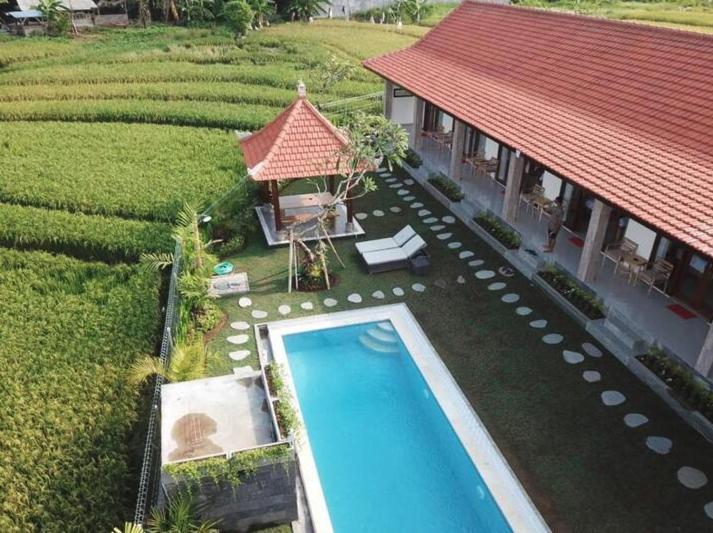 Rara Guesthouse 캉구 외부 사진